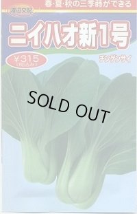 送料無料　[中国野菜]　チンゲンサイ　ニイハオ新1号　750粒　渡辺農事