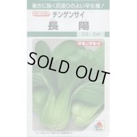 送料無料　[中国野菜]　チンゲンサイ　長陽　20ml　タキイ種苗(株)