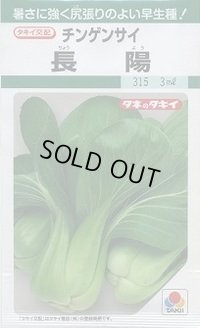 送料無料　[中国野菜]　チンゲンサイ　長陽　20ml　タキイ種苗(株)