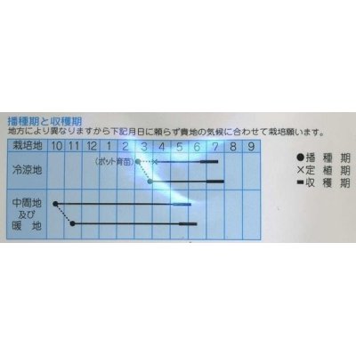 画像2: 送料無料　[えんどう]　紫御膳　10ml　(株)タカヤマシード