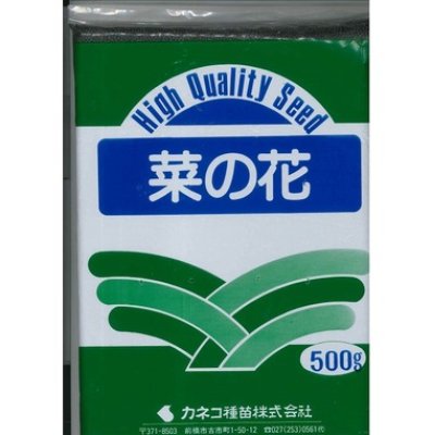 画像1: [景観形成作物]　菜の花　500g　カネコ種苗