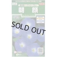 送料無料　花の種　朝顔　西洋系　ヘブンリーブルー　約14粒　(株)サカタのタネ　実咲250（026201）