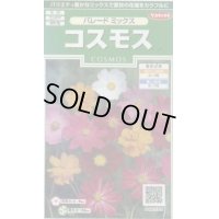 送料無料　花の種　コスモス　パレードミックス　小袋　(株)サカタのタネ　実咲250（026241）