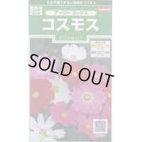 送料無料　花の種　コスモス　アーリーミックス　約86粒　(株)サカタのタネ　実咲250（026238）