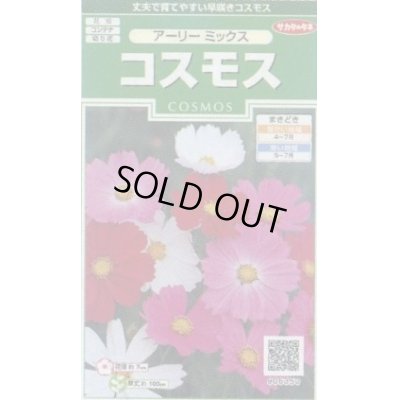 画像1: 送料無料　花の種　コスモス　アーリーミックス　約86粒　(株)サカタのタネ　実咲250（026238）