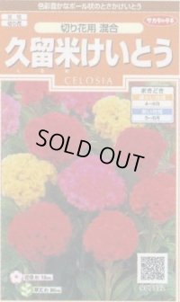 送料無料　花の種　けいとう　久留米けいとう　切り花用混合　約145粒　(株)サカタのタネ　実咲200（026324）