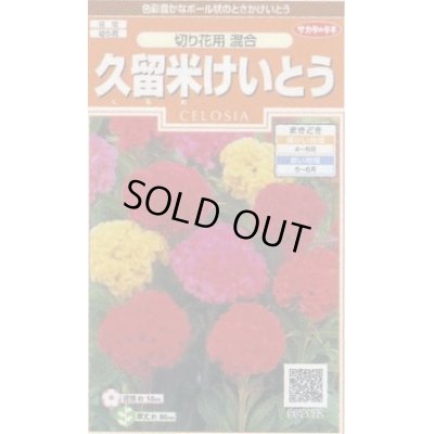 花種 小袋 けいとう 久留米けいとう 小袋 サカタのタネ 花種 花種 小袋 春まき グリーンロフトネモト直営