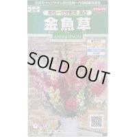 送料無料　花の種　金魚草　高性一代交配系混合　約86粒　(株)サカタのタネ　実咲250（026222）