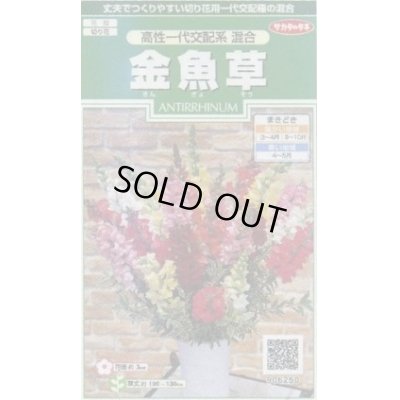 画像1: 送料無料　花の種　金魚草　高性一代交配系混合　約86粒　(株)サカタのタネ　実咲250（026222）