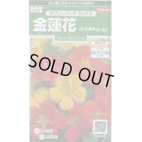 送料無料　花の種　金蓮花　ホワリーバード　約15粒　(株)サカタのタネ　実咲250（026228）