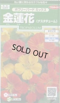 送料無料　花の種　金蓮花　ホワリーバード　約15粒　(株)サカタのタネ　実咲250（026228）