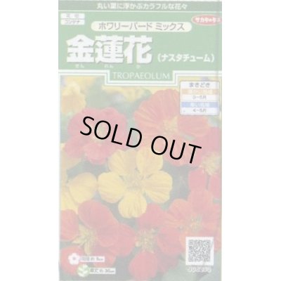 画像1: 送料無料　花の種　金蓮花　ホワリーバード　約15粒　(株)サカタのタネ　実咲250（026228）