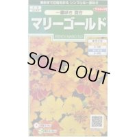 送料無料　花の種　マリーゴールド　一重咲き混合　約50粒　(株)サカタのタネ　実咲250（026295）