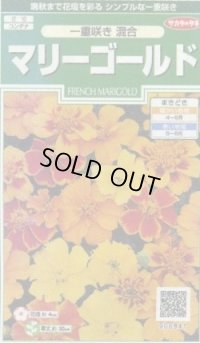 送料無料　花の種　マリーゴールド　一重咲き混合　約50粒　(株)サカタのタネ　実咲250（026295）