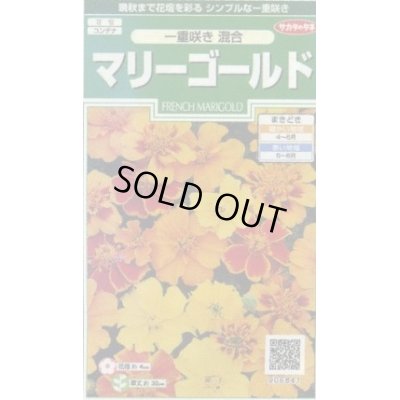 画像1: 送料無料　花の種　マリーゴールド　一重咲き混合　約50粒　(株)サカタのタネ　実咲250（026295）