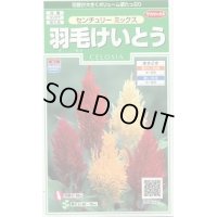 送料無料　花の種　羽毛けいとう　センチュリーミックス　約143粒　(株)サカタのタネ　実咲250（026233）