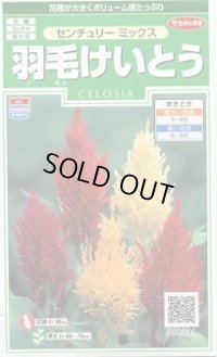 送料無料　花の種　羽毛けいとう　センチュリーミックス　約143粒　(株)サカタのタネ　実咲250（026233）