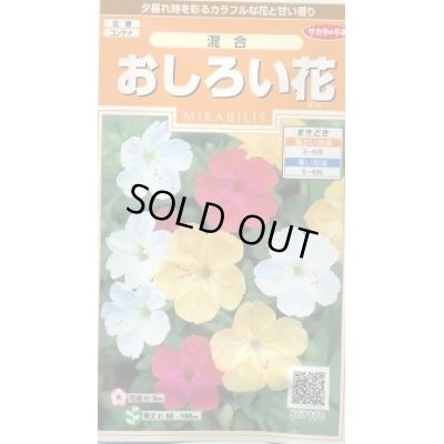 花種 小袋 おしろい花 小袋 サカタのタネ 花種 花種 小袋 春まき グリーンロフトネモト直営