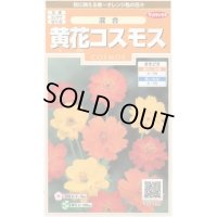 送料無料　花の種　黄花コスモス　約58粒　(株)サカタのタネ　実咲200（026330）