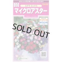 送料無料　花の種　マイクロアスター　ステラミックス　約75粒　(株)サカタのタネ　　実咲350（026085）