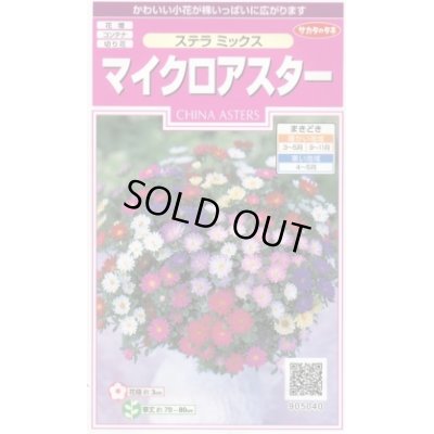 画像1: 送料無料　花の種　マイクロアスター　ステラミックス　約75粒　(株)サカタのタネ　　実咲350（026085）