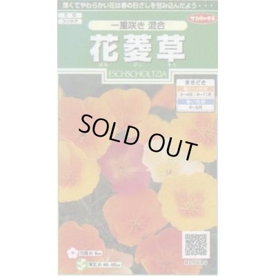 画像1: 送料無料　花の種　花菱草　一重咲き混合　約134粒　　(株)サカタのタネ　実咲250（026266）