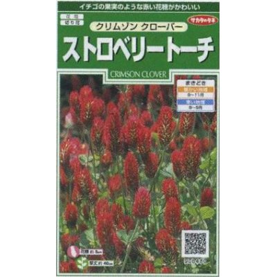 花の種 クリムゾンクローバー ストロベリートーチ 約1粒 サカタのタネ 花種 花種 小袋 秋まき グリーンロフトネモト直営