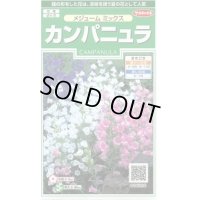 送料無料　花の種　カンパニュラ　メジュームミックス　約210粒　　(株)サカタのタネ　実咲250（026220）