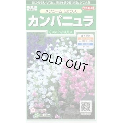 画像1: 送料無料　花の種　カンパニュラ　メジュームミックス　約210粒　　(株)サカタのタネ　実咲250（026220）