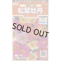 送料無料　花の種　松葉牡丹　一重咲き混合　約215粒　(株)サカタのタネ　実咲200（026357）