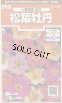 送料無料　花の種　松葉牡丹　一重咲き混合　約215粒　(株)サカタのタネ　実咲200（026357）