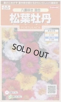 送料無料　花の種　松葉牡丹　八重咲き混合　約215粒　(株)サカタのタネ　実咲200（026358）