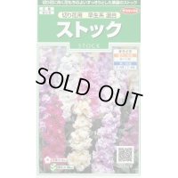 送料無料　花の種　ストック　切り花用　早生系混合　約40粒　(株)サカタのタネ　実咲250（026252）