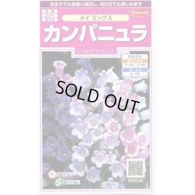 画像1: 送料無料　花の種　カンパニュラ　メイミックス　約62粒　　(株)サカタのタネ　実咲350（026097）