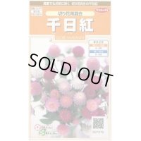 送料無料　花の種　千日紅　切り花用混合　約45粒　(株)サカタのタネ　実咲200（026339）