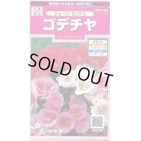 送料無料　花の種　ゴデチャ　ジューンミックス　0.1ml　　(株)サカタのタネ　実咲350（026111）