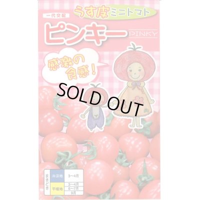 画像1: 送料無料　[トマト/ミニトマト]　ピンキー　15粒　ナント種苗(株)