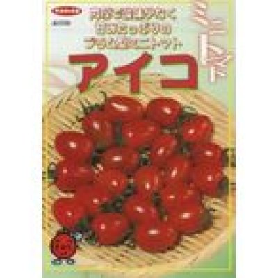 画像2: 送料無料　[トマト/ミニトマト]　アイコ　1000粒　(株)サカタのタネ