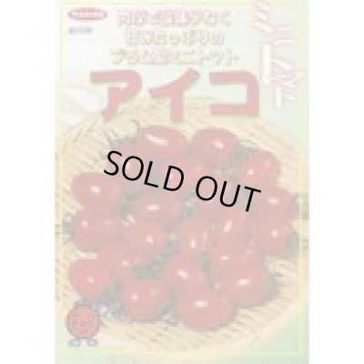 画像2: 送料無料　[トマト/ミニトマト]　アイコ　17粒　(株)サカタのタネ実咲550（002821）