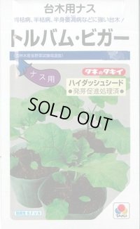 送料無料　[台木/ナス用]　トルバム・ビガー　1000粒　タキイ種苗