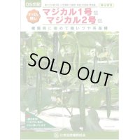 送料無料　[キュウリ]　マジカル2号　350粒　ＯＳ交配