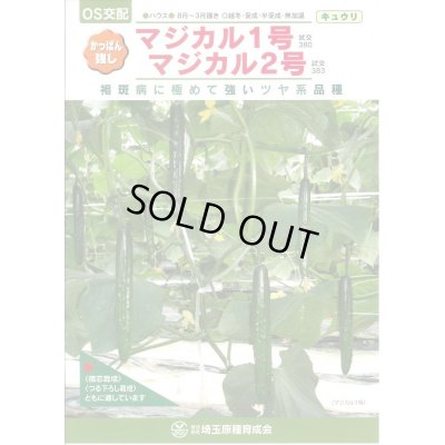 画像1: 送料無料　[キュウリ]　マジカル2号　350粒　ＯＳ交配