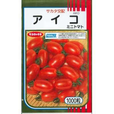 画像1: 送料無料　[トマト/ミニトマト]　アイコ　1000粒　(株)サカタのタネ