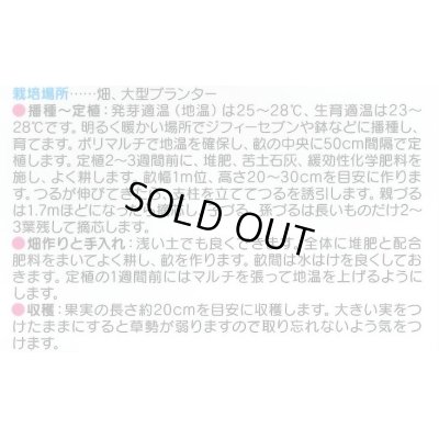 画像3: 送料無料　[キュウリ]　ずーっととれる　約16粒　(株)サカタのタネ　実咲550（002847）