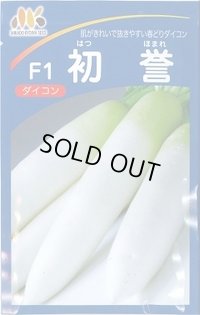 大根　初誉　5000粒　ペレット種子　ヴィルモランみかど