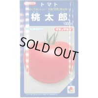 送料無料　[トマト/桃太郎系]　桃太郎　1000粒　貴種(コートしてません)　タキイ種苗