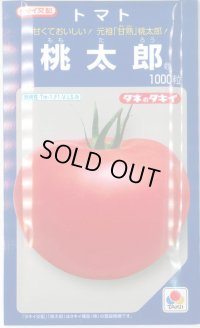 送料無料　[トマト/桃太郎系]　桃太郎　1000粒　貴種(コートしてません)　タキイ種苗