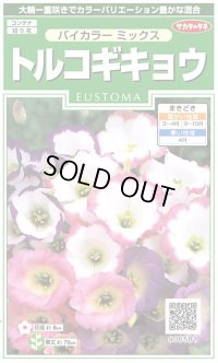 送料無料　花の種　トルコギキョウバイカラー　ミックス　約45粒　　(株)サカタのタネ　実咲250（026260）