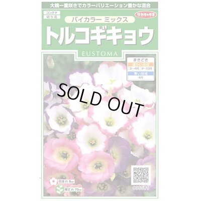 画像1: 送料無料　花の種　トルコギキョウバイカラー　ミックス　約45粒　　(株)サカタのタネ　実咲250（026260）