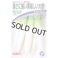 [大根]　夏仕立大根　4ml　(株)タカヤマシード